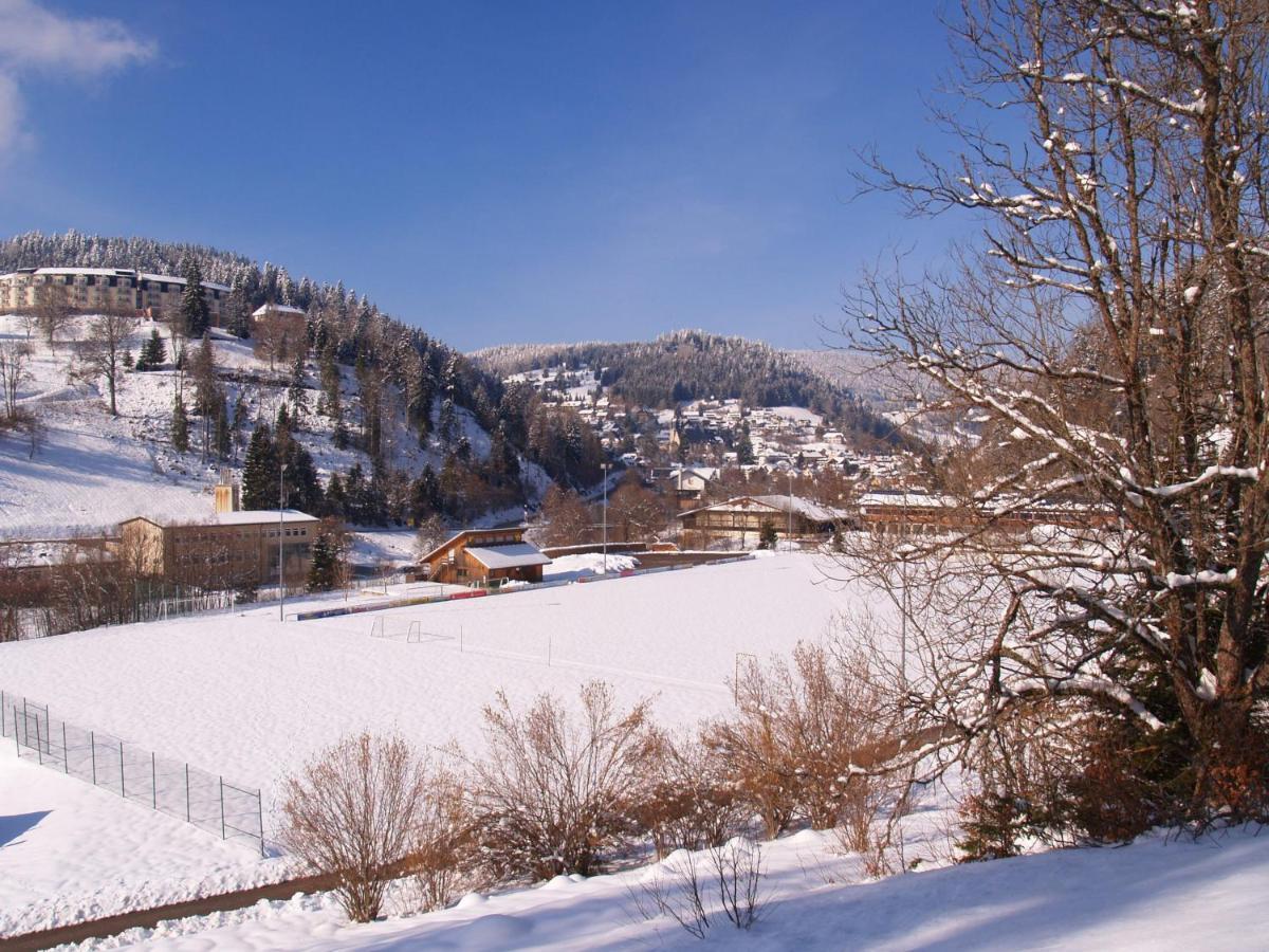 Apartamento Birke 9, 10 Oder 11 Todtmoos Exterior foto