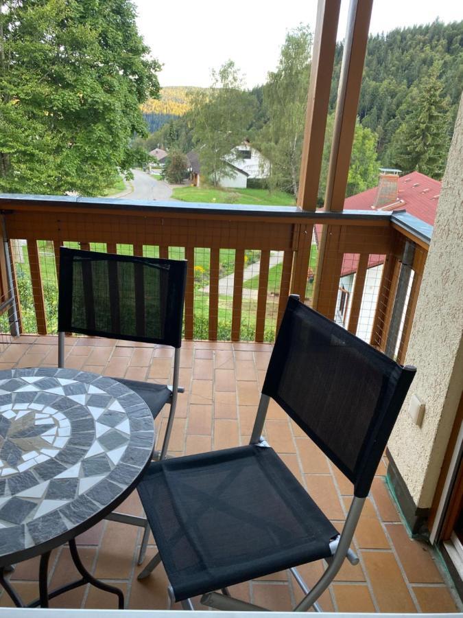 Apartamento Birke 9, 10 Oder 11 Todtmoos Exterior foto