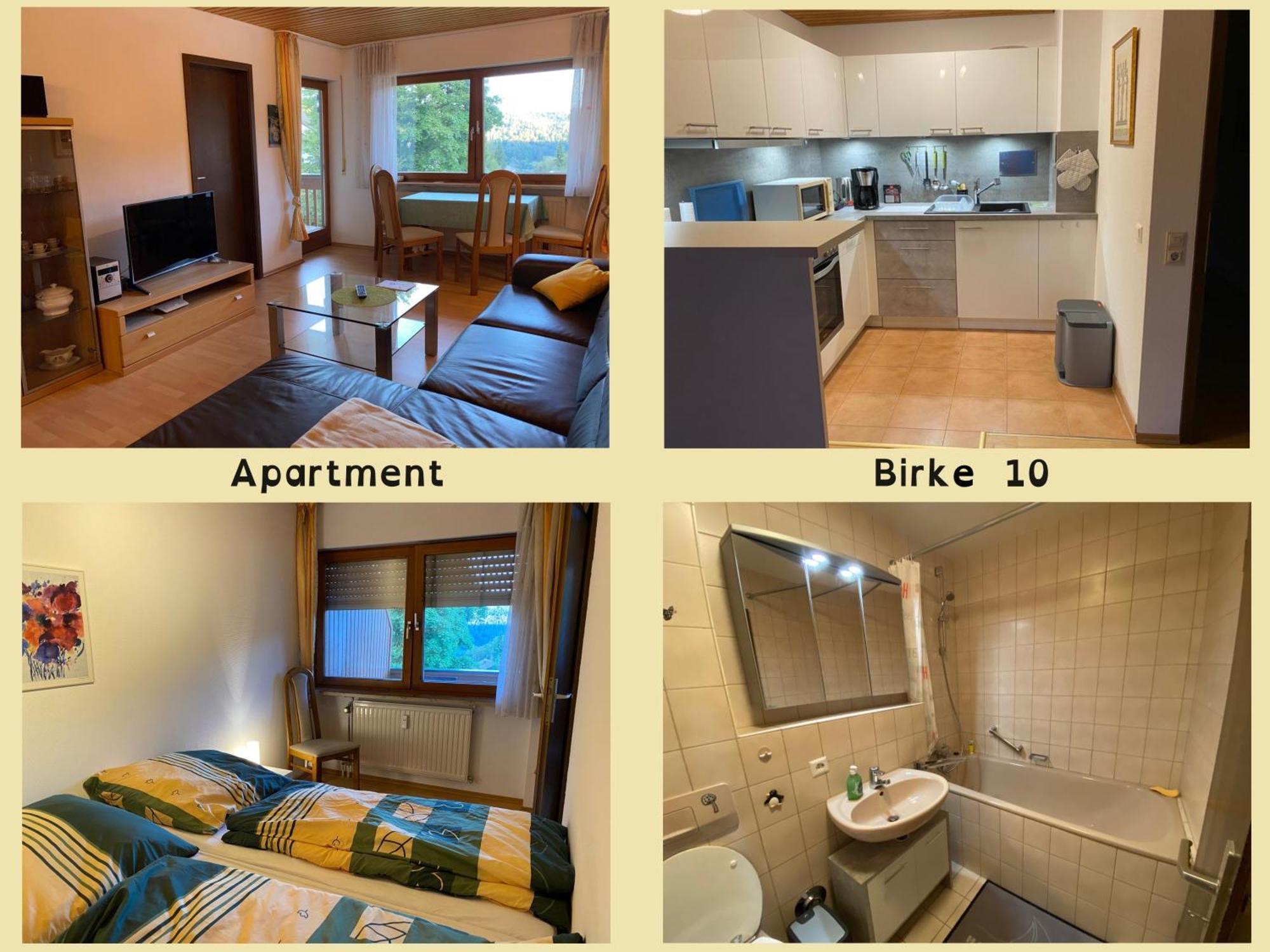 Apartamento Birke 9, 10 Oder 11 Todtmoos Exterior foto