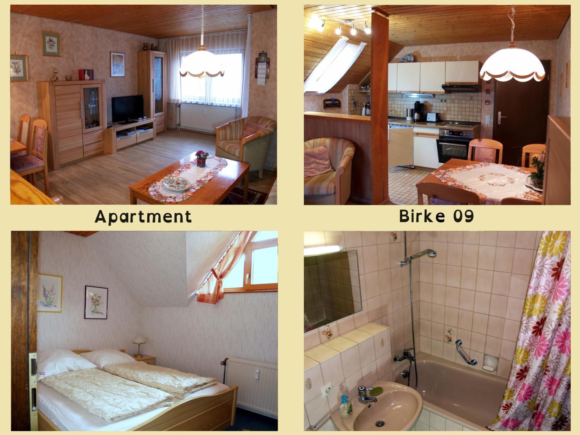 Apartamento Birke 9, 10 Oder 11 Todtmoos Exterior foto